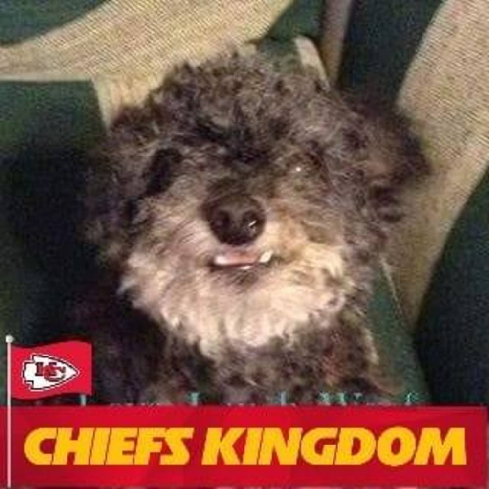 Meet your Posher, Chrissy